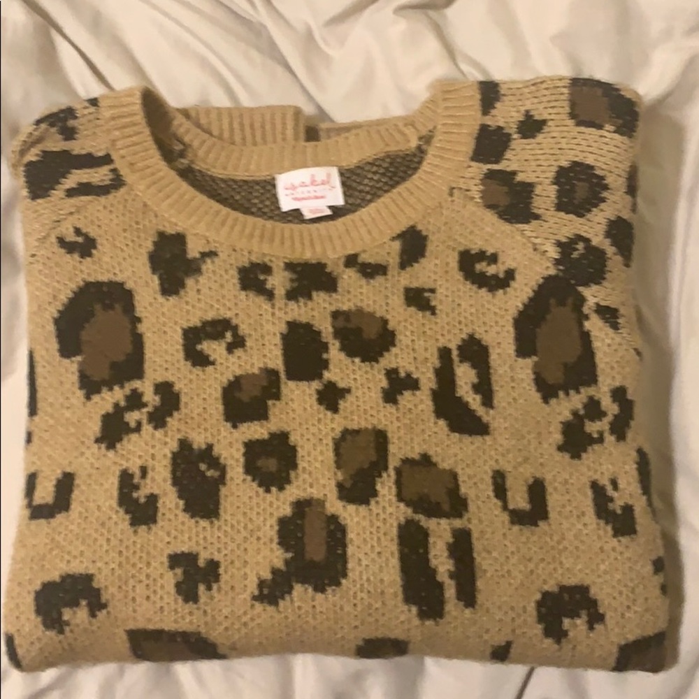 Cheetah Print Sweater